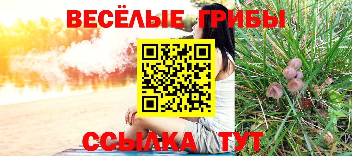 Псилоцибиновые грибы прущие грибы  Галлюциногенные грибы Magic Shrooms  хочу наркоту  Вход с VPN  Пыть-Ях 